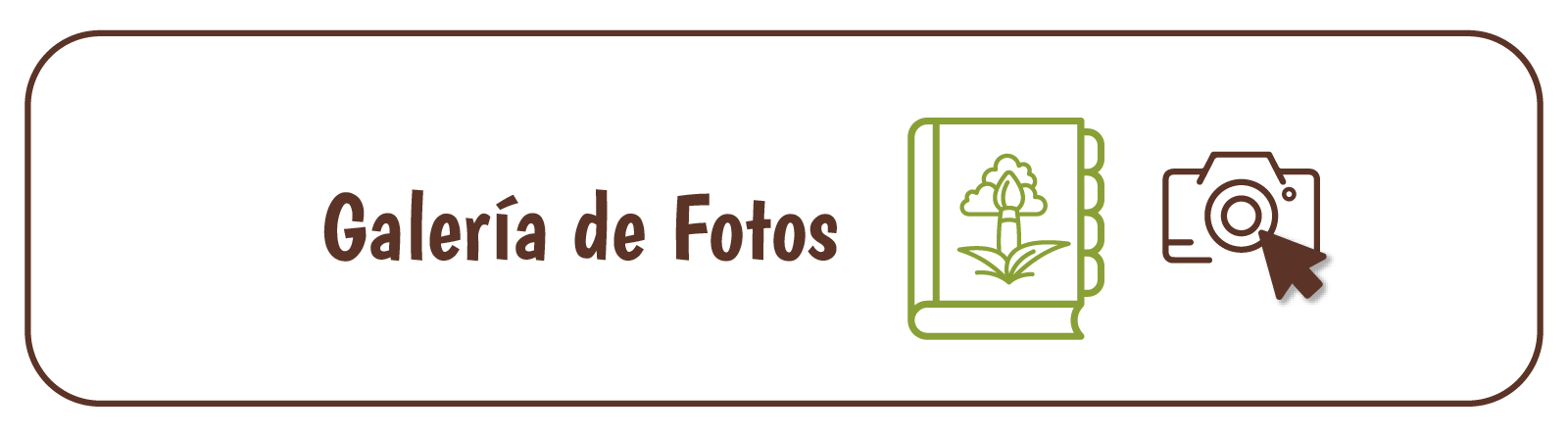 imagen de Botón de Galería de fotos