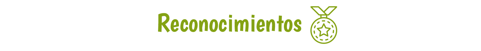 Título "reconocimientos"