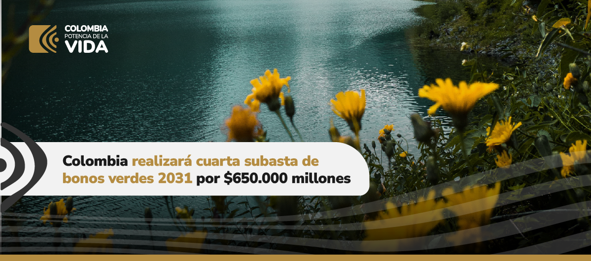 Imagen de flores al lado de un lago